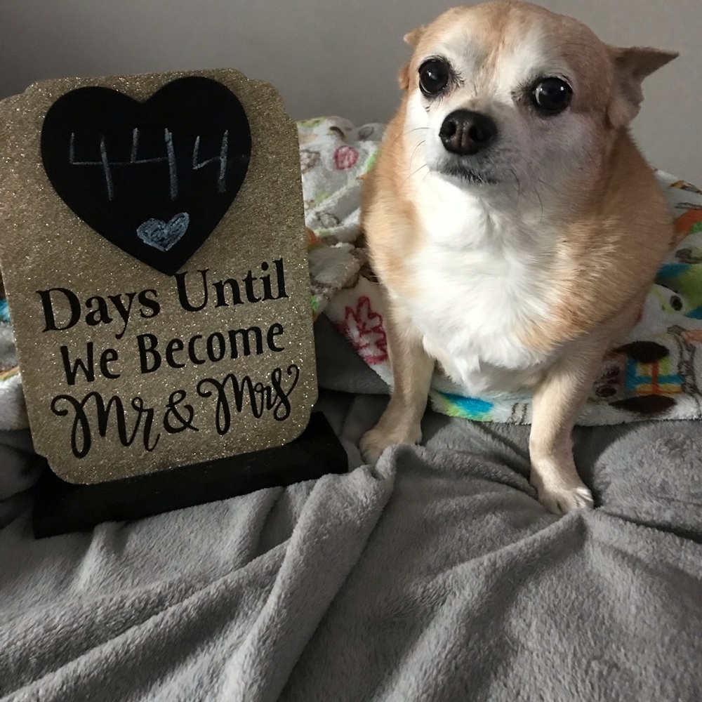 Meet your Posher, Caity